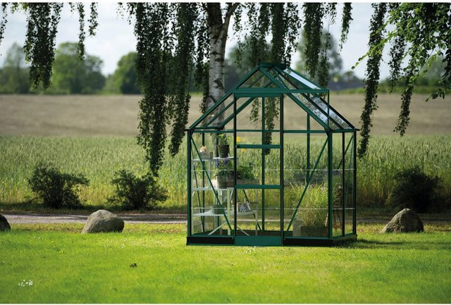 Halls Gewächshaus Icon 6 in Grün mit Glas und Satteldach für die Pflanzenzucht, 2,5 m² - Bild 1