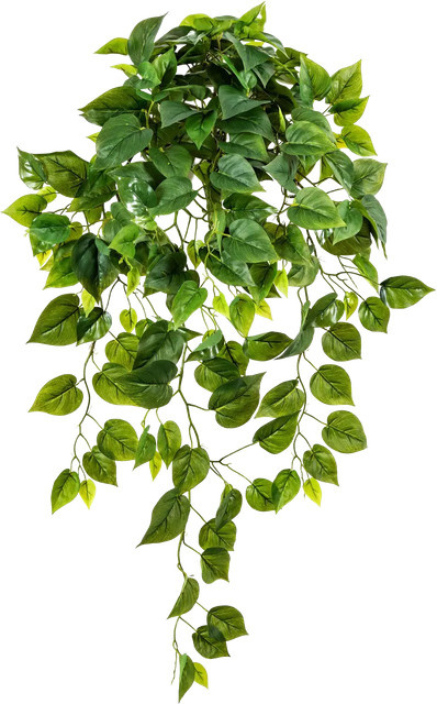 Künstliche Hänge-Monstera Barbara von Aplanta, Grün, Höhe: 85 cm - Bild 1