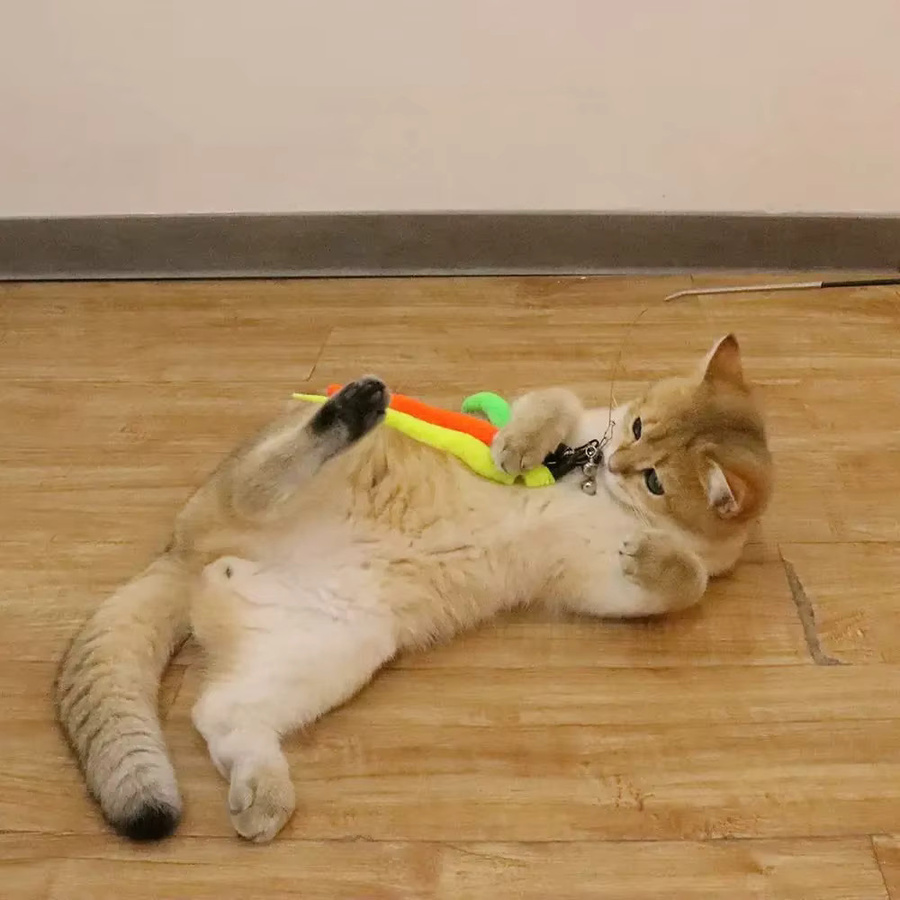 ZHUOJI Katzenspielzeug Nachfüllungen: Interaktive Ersatzwürmer für Spielzeugstäbe, Multicolor - Bild 5