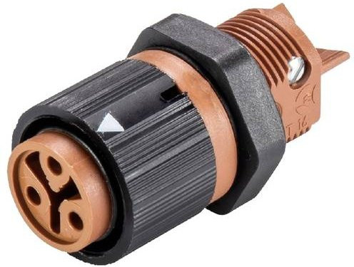 Wieland Electric 46.031.5050.4 Geräteanschluss - Bild 1