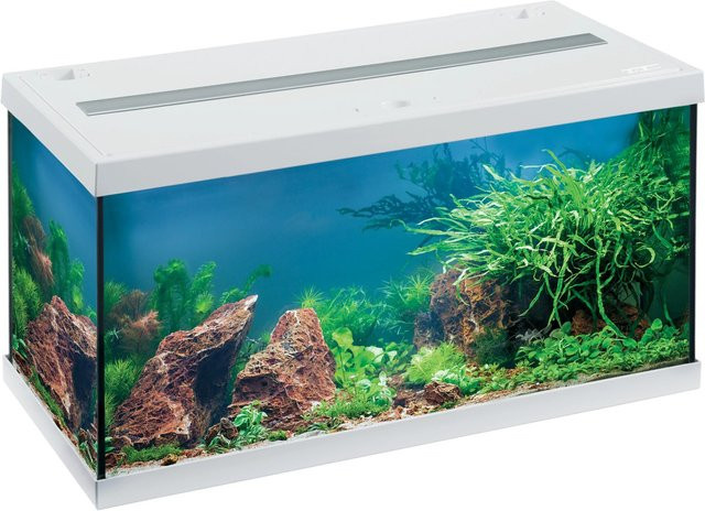 Eheim Aquastar LED Aquarium-Set in Weiß - Bild 1