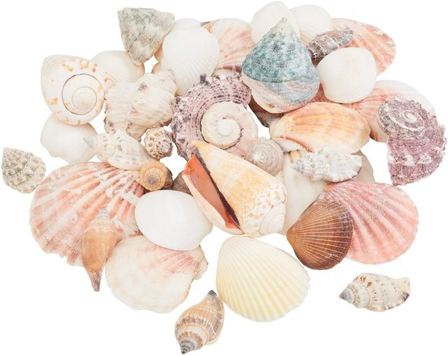 Muschel-Mix Natur von Eurosand in den Farben Weiß, Rosa, Beige und Multicolor für ein maritimes Ambiente - Bild 1
