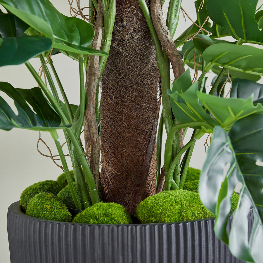 Künstlicher Split-Philodendron Zephira von Aplanta in Grün, Höhe: 210 cm - Bild 3