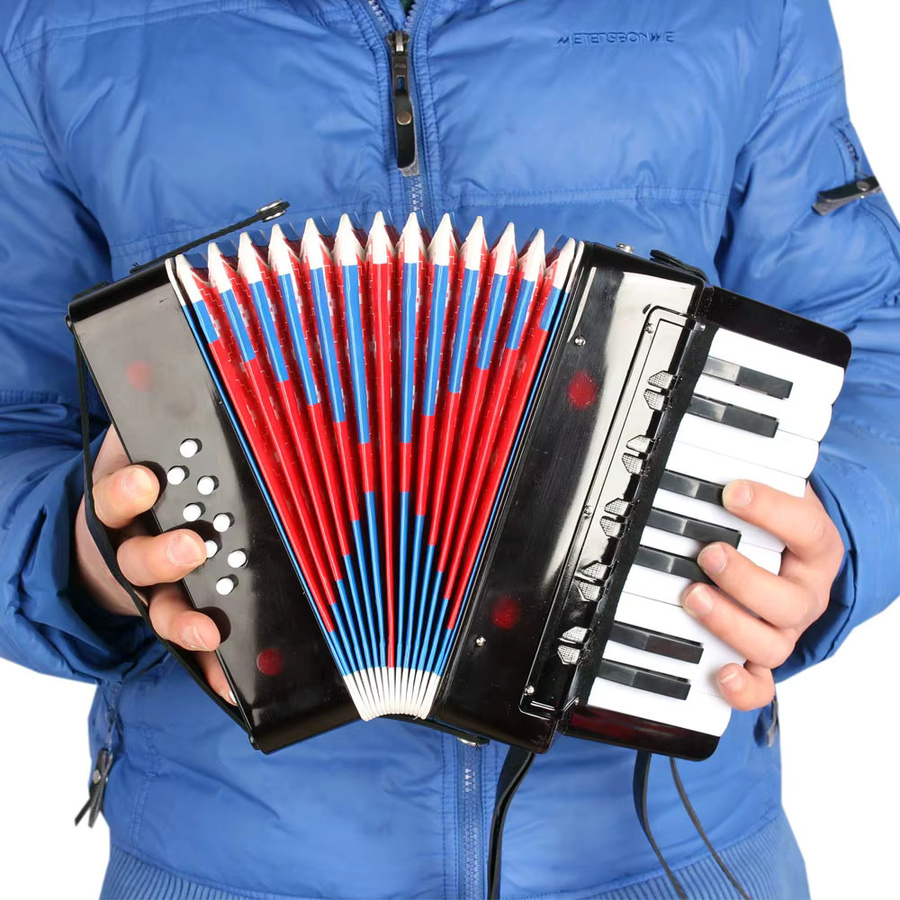 IRIN Akkordeon, Musikinstrument, 17 Tasten, 8 Bass, Rhythmus-Training - Bild 2