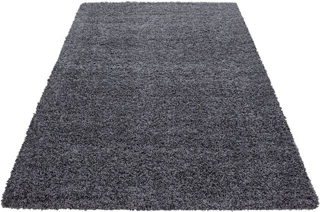 Ayyildiz Hochflorteppich Life Shaggy Grau B/L: 100 x 200 cm - Bild 1