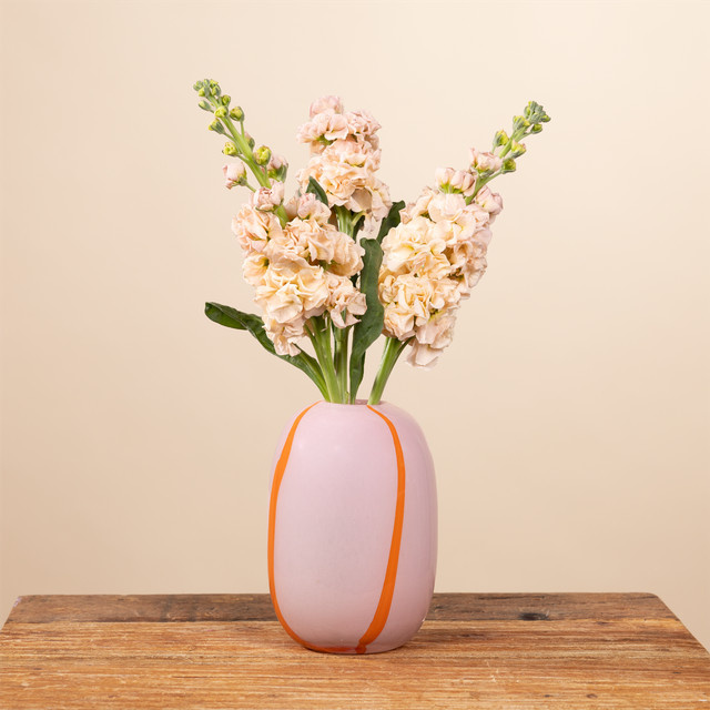 BLUME2000 Glasvase mit Streifen in Pink und Orange, Höhe: 17,0 cm, Breite: 9,5 cm, Tiefe: 9,5 cm - Bild 1