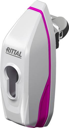 Rittal Knebelgriff AX in Lichtgrau Matt - Bild 2