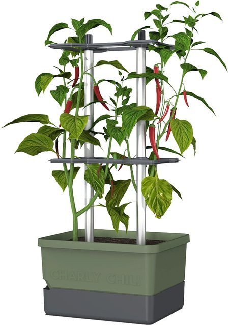 Gusta Garden Pflanztopf Charly Chili Dunkelgrün - Bild 1