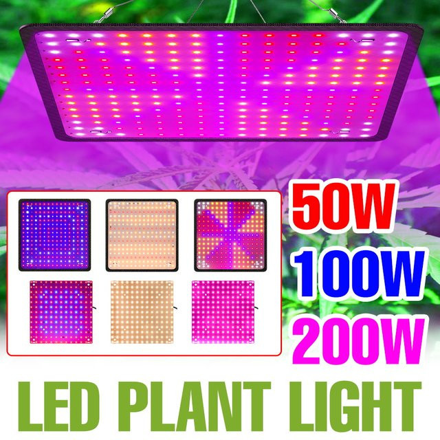 CanLing 200W LED Pflanzenlampe mit Vollspektrum-Quantum-Board in Schwarz für Indoor-Anbau von Blumen, Tomaten und Gemüse - Bild 1