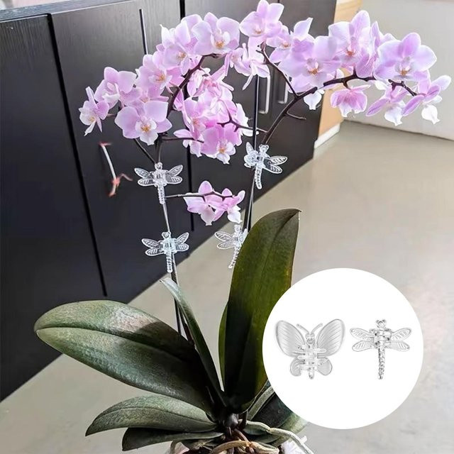 10 Stück transparente Pflanzenclips aus Kunststoff zur Unterstützung von Orchideen, Ranken und Zimmerpflanzen - Bild 1