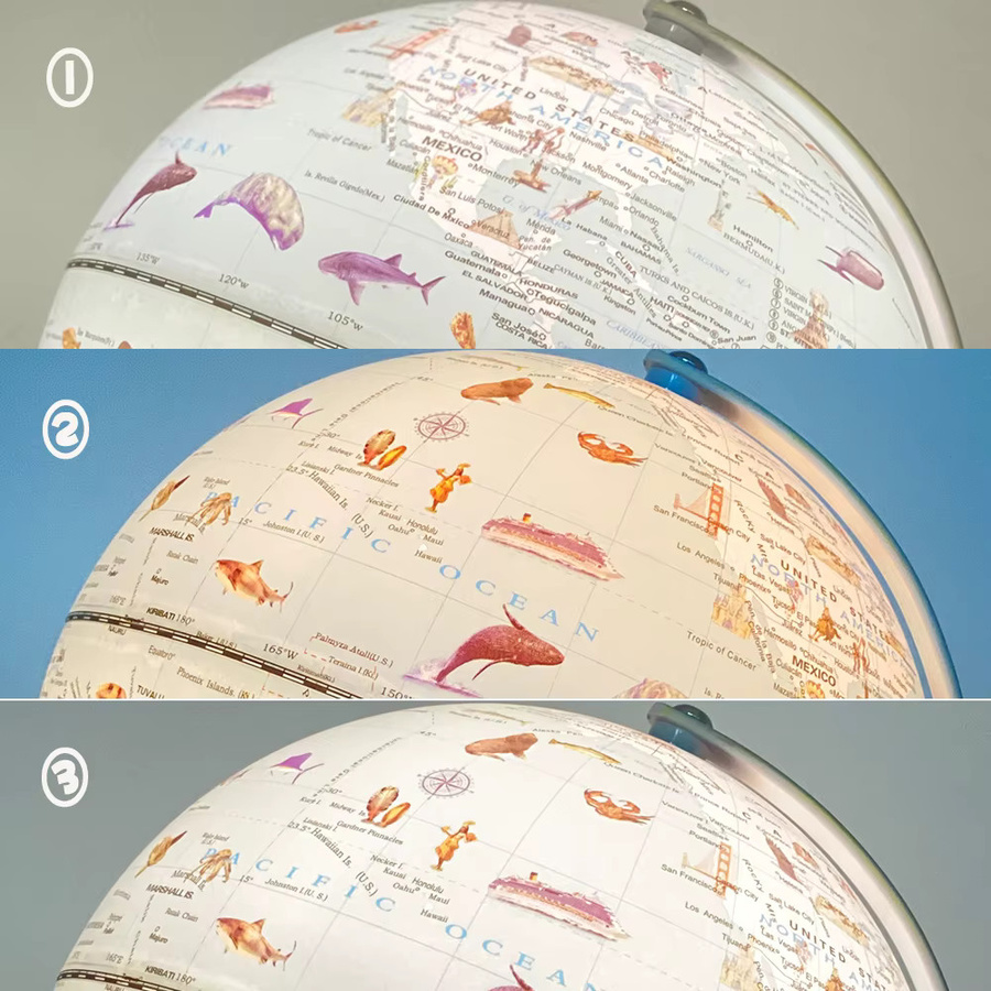 Pädagogischer Weltglobus 7,8 Zoll in Blau und Multicolour für Kinder zum Geographie Lernen - Bild 3