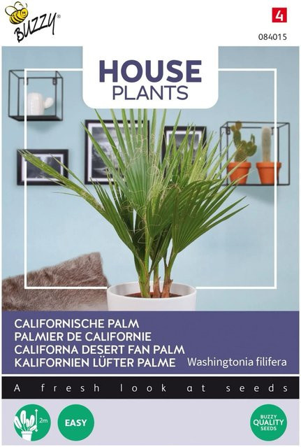 Buzzy House Plants Kalifornische Palme Samen für Innenbereich, Garten und Balkon, 1 g - Bild 1