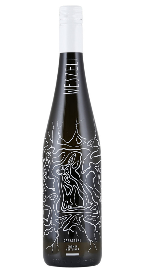 Weszeli Caractére Kamptal, Grüner Veltliner, trocken, Weißwein, 2023, 0,75 l - Bild 2