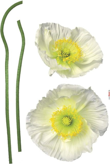 Komar Deko-Sticker Pavot Blanc Blumen Selbstklebefolie bunt B: 50 cm, H: 70 cm - Bild 1
