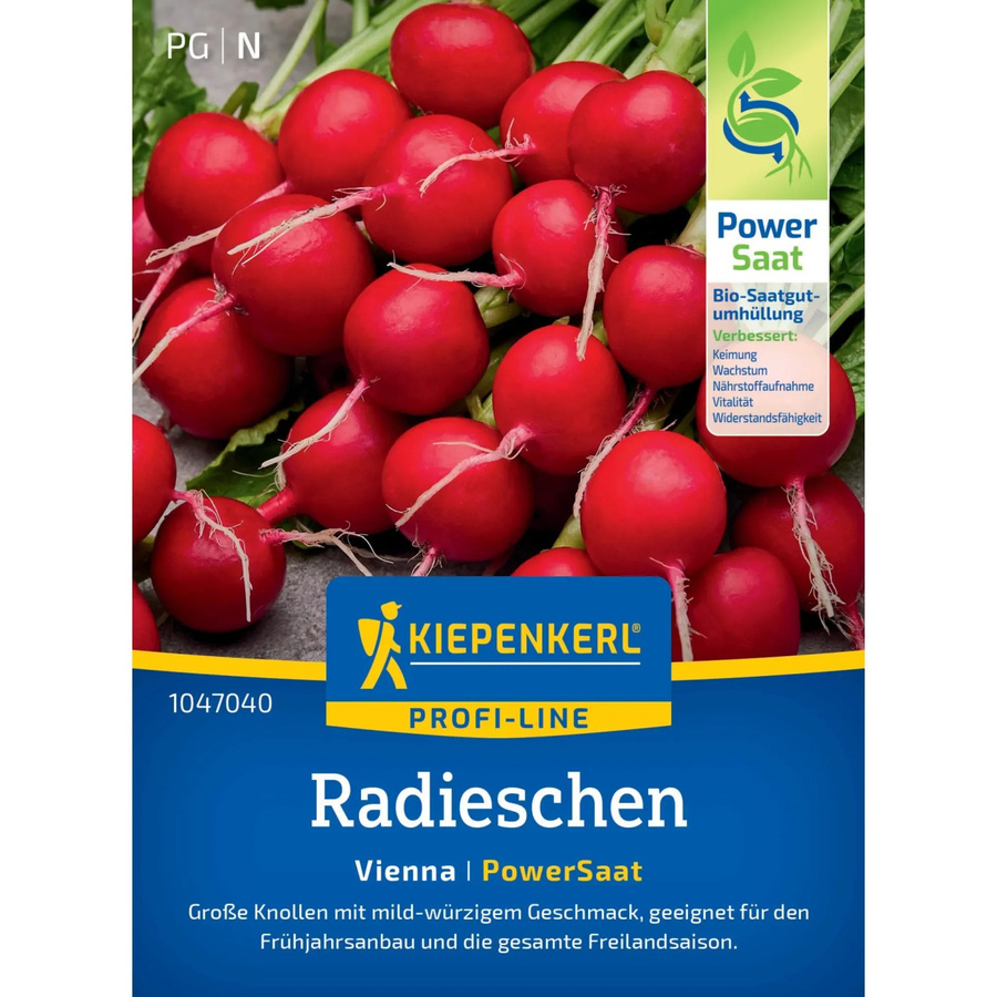 Kiepenkerl Radieschen Vienna Raphanus sativus Gemüsesamen für Gewächshaus, Frühbeet und Freiland - Bild 2
