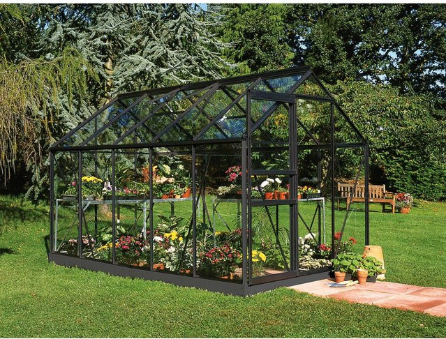 Halls Gewächshaus Popular 106 Schwarz mit Sicherheitsglas und Fundamentrahmen, 6,2 m² - Bild 1