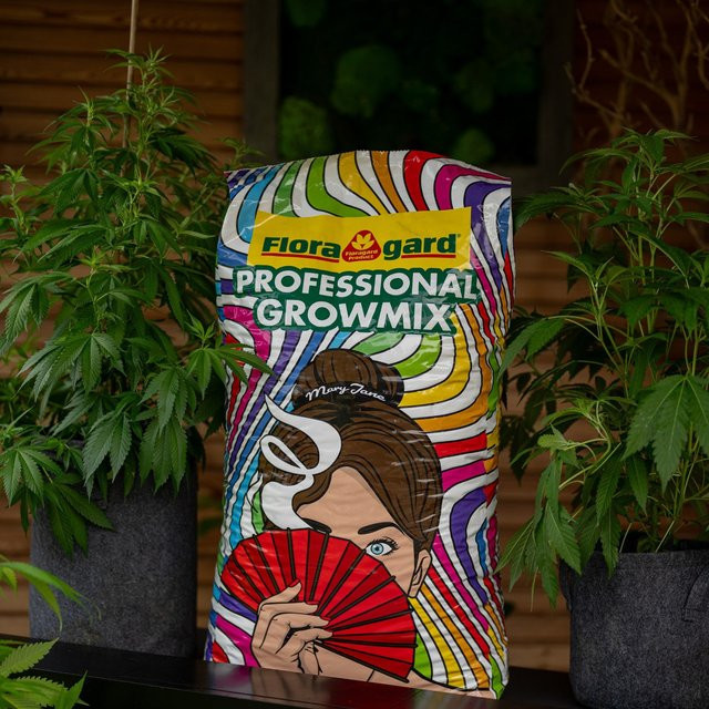Floragard Spezial-Substrat Professional Grow Mix für Indoor Plants, 70 l - Bild 2