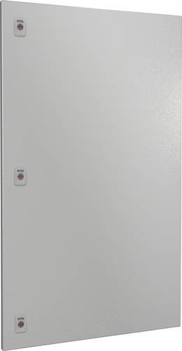Rittal Teiltür aus Stahl in Grau, B: 60 cm, H: 100 cm - Bild 1