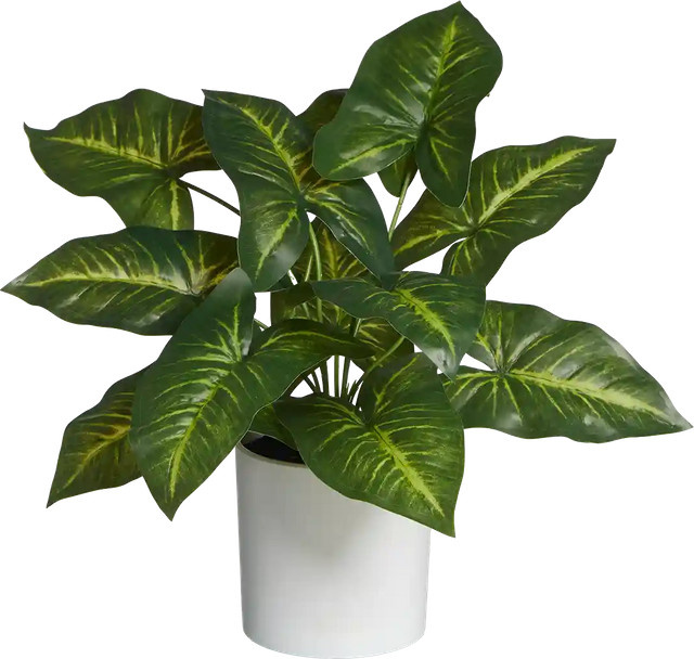 Künstliche Dieffenbachia Pflanze Aplanta Justus, Höhe: 45 cm - Bild 1
