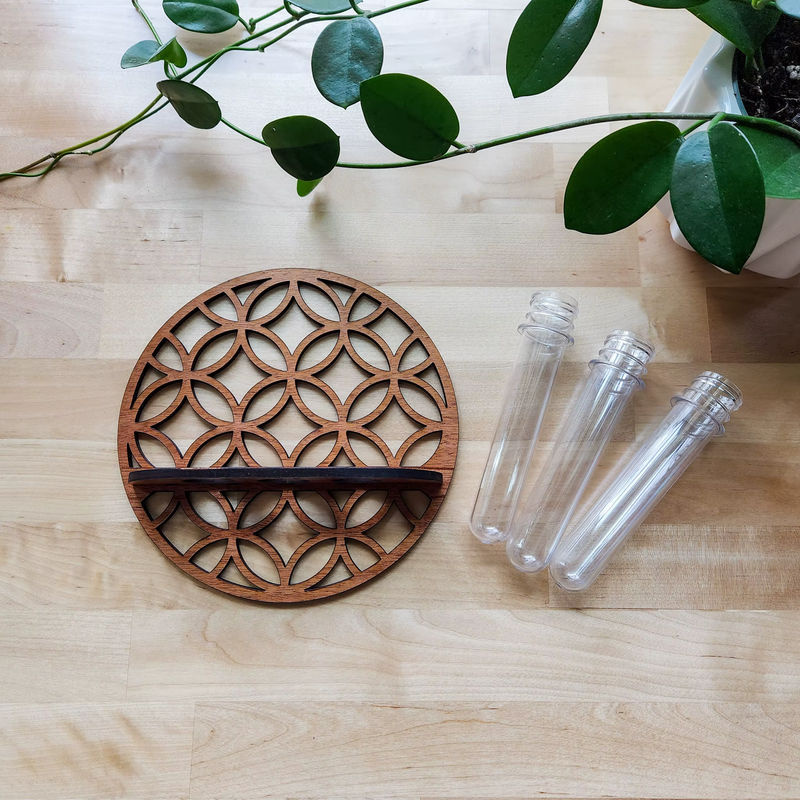 Runder Wandpflanzenhalter aus Holz in Braun mit 3 transparenten Glas-Reagenzgläsern für Schnittblumen und Pflanzenvermehrung im skandinavischen Design - Bild 5