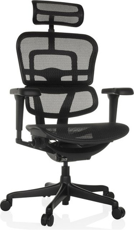 hjh OFFICE Ergohuman Signature Gen2 Luxus Chefsessel aus Netzstoff in Schwarz mit Armlehnen und Kopfstütze, höhenverstellbar