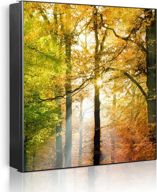 Banjado Schlüsselkasten aus Metall in Schwarz mit Motiv Herbstwald, Magnetisch und Beschreibbar, B/H: 30 x 30 cm - Bild 1