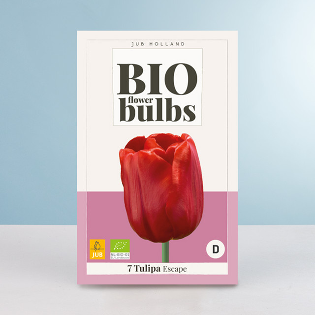 BIO Triumph Tulpe Escape mit 7 Zwiebeln für Garten, Balkon und Terrasse - Bild 1