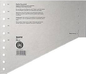 Leitz Staffeltrennblätter DIN A4, grau, 200 g/m², 100 Stück - Bild 1