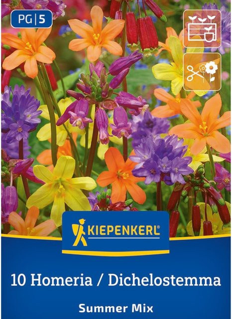 Kiepenkerl Summer Mix Zwiebelblumen bunt, 10 Stück - Bild 1