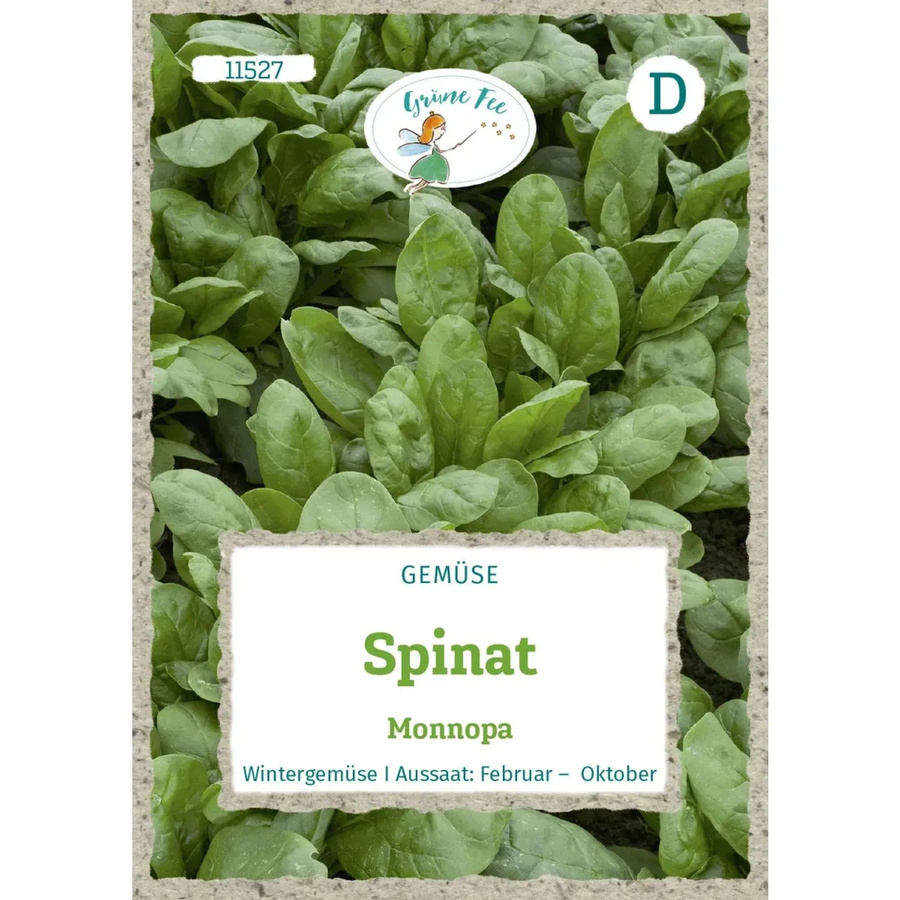 Monnopa Grüne Fee Spinat Saatgut für Frühjahrs- und Herbstanbau - Bild 2