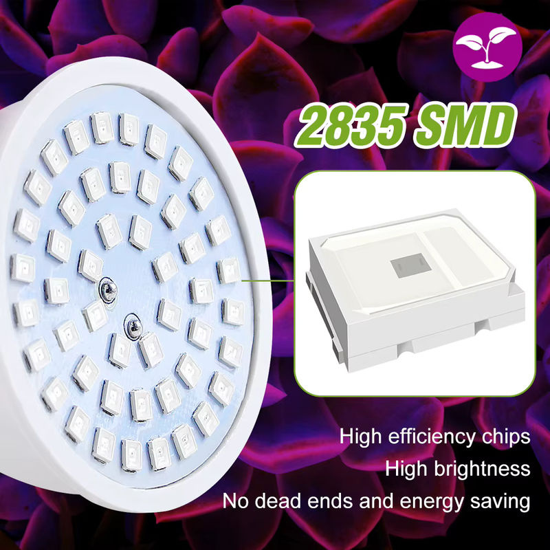 LED Vollspektrum Pflanzenlampe für Indoor Growbox und Blumen, E27/E26/E14/GU10/MR16, Weiß - Bild 2