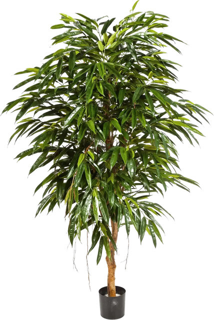 Künstliche Longifolia Pflanze Sean von artplants in Grün, Höhe: 210 cm - Bild 1