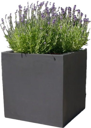 Revox Botanic 50-2c Lautsprecher Anthrazit - Bild 1