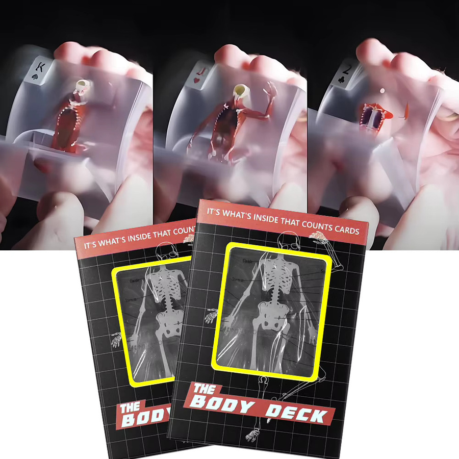 ALLOYSEED Anatomie-Pokerkarten, 3D-Bild Lernkarten, Bunt / Mehrfarbig - Bild 3