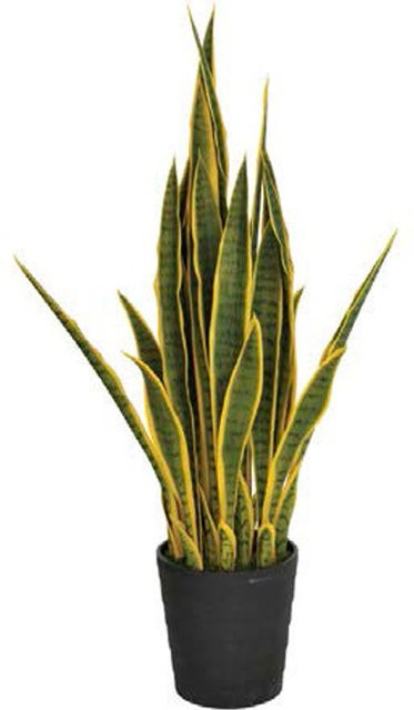 Intergard Kunstpflanze Sansevieria bicolor in Grün, Höhe: 105 cm - Bild 1