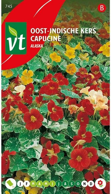 Arborix Kapuzinerkresse Alaskan Samen mit bunten Blüten, 3,5 g - Bild 1