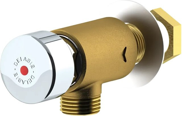 Delabie TEMPOSTOP Wand-Selbstschließventil G1/2B aus Messing in gebürstetem Messing - Bild 1
