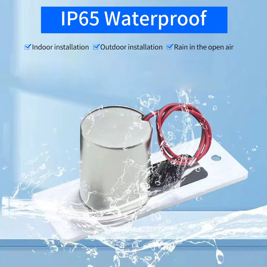 LUCKING DOOR Mini Wasserdichtes Elektrisches Bolzenschloss mit 3/5-Draht Rückmeldung und Zeitverzögerung DC 12V für den Außenbereich - Bild 2