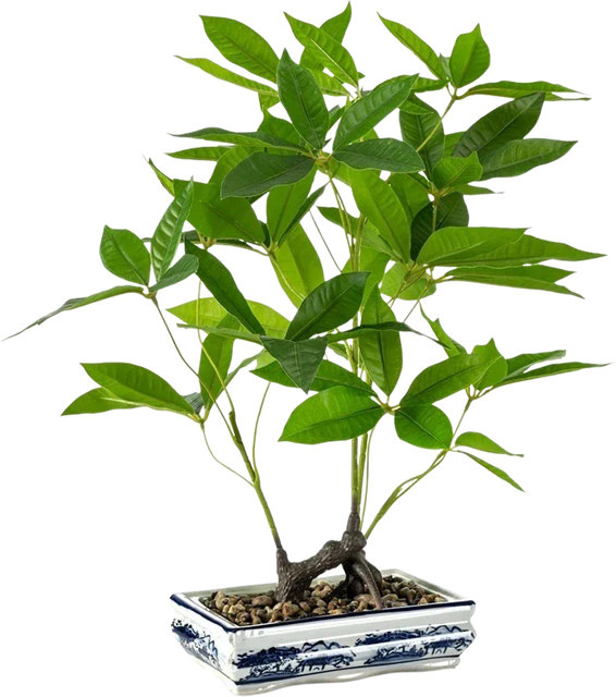 Künstlicher Bonsai Sally von Aplanta, Höhe: 62 cm - Bild 1