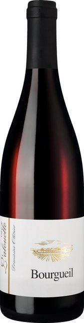 Domaine Olivier Bourgueil Rotwein, Cabernet Franc, 2023, Frankreich, trocken, 0,75 l - Bild 1