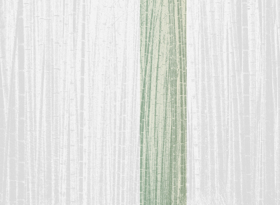 Jannelli & Volpi Mural Arashiyama Sage Panel 4 Wandgestaltung in Grün mit orientalischem Streifenmuster aus Vinyl - Bild 1
