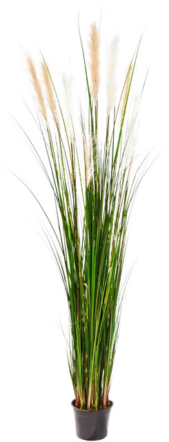 Aplanta Künstliches Schilfgras Fluffi in Grün, Höhe: 180 cm - Bild 1