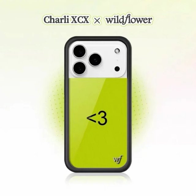XCX Wildflower Handyhülle für iPhone 17 16 15 14 13 12 Pro Max Plus in Grün - Bild 1