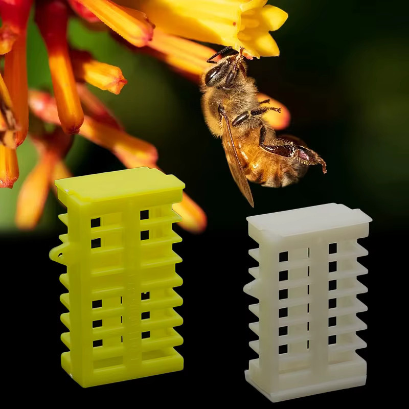 IHERDSMAN Bienenzucht Königinnen Käfig aus Kunststoff, ausziehbare Schublade zur Aufzucht und zum Fang, weiß, 50 Stück - Bild 2
