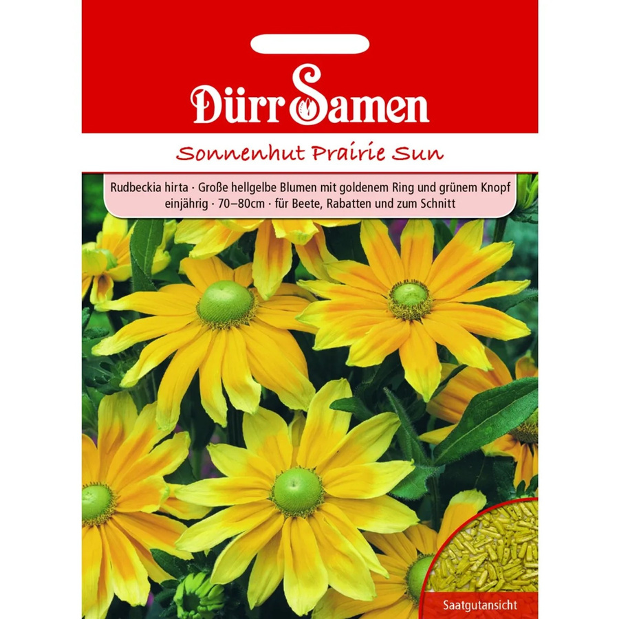 Dürr Sonnenhut Prairie Sun Saatgut für hellgelbe Blüten, einjährig - Bild 2