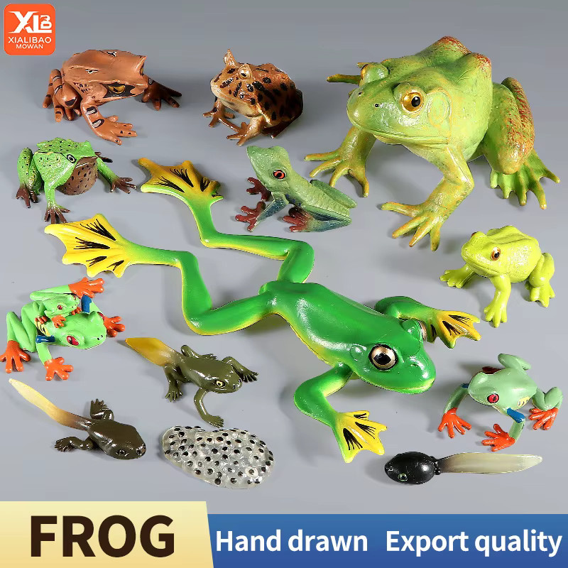 XIALIBAOMOWAN Wild-Insektentiere Ochsenfrosch-Lebenszyklus-Spielzeug, Actionfigur, Kunststoff - Bild 2