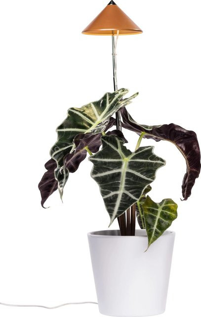 Parus by Venso LED-Pflanzenlampe Sunlite 7 W in Kupfer aus Aluminium für Topfpflanzen - Bild 1