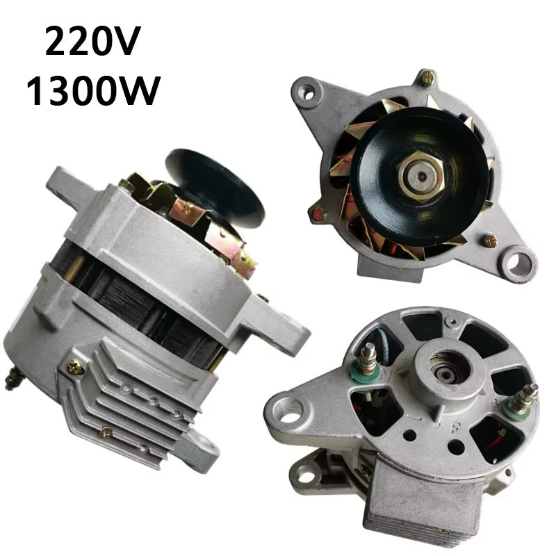 TUNGFULL Hochleistungs-Generator Bürstenlos mit Permanentmagnet und Kupferdrahtkern 220V Wechselstromgenerator in Silber - Bild 3
