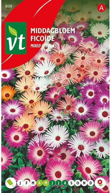 Arborix Mittagsblume Samen Mischung für deinen Garten, ca. 1 g - Bild 1