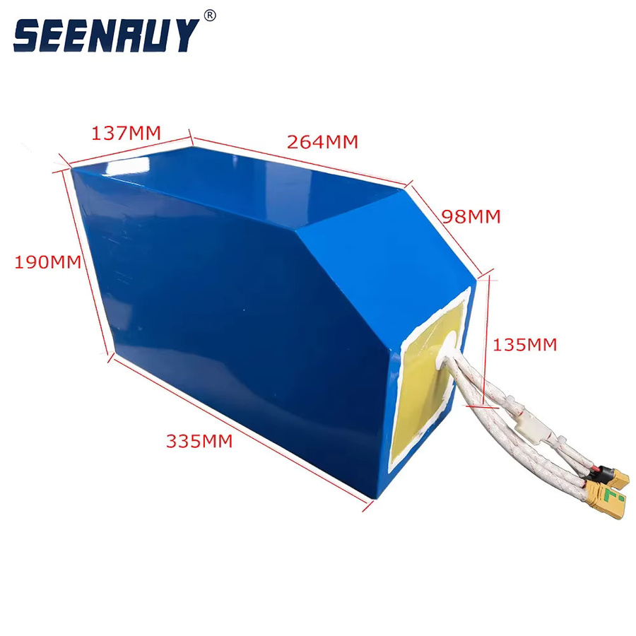 SEENRUY Lithium-Akku 72V 40Ah für Elektromotor Rad 5000W Kit inklusive 72V BMS und 5A Ladegerät in Blau - Bild 2